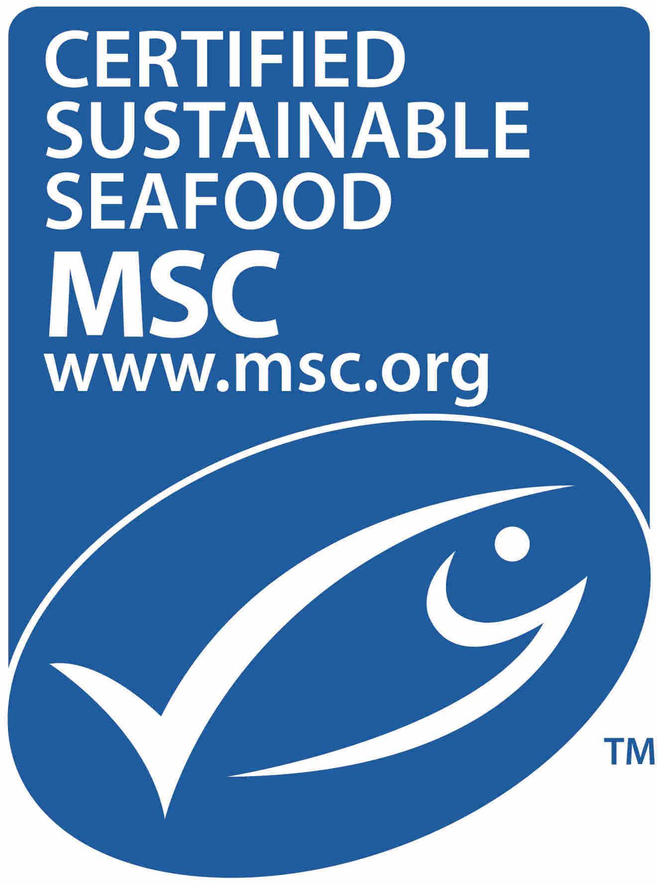 msclogo