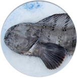 monkfish